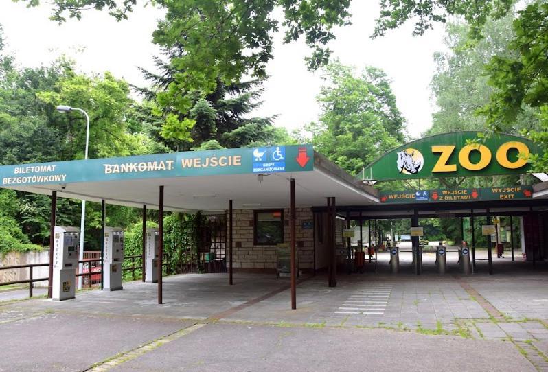 Apartment Czytelnia - Parking Gratis *
